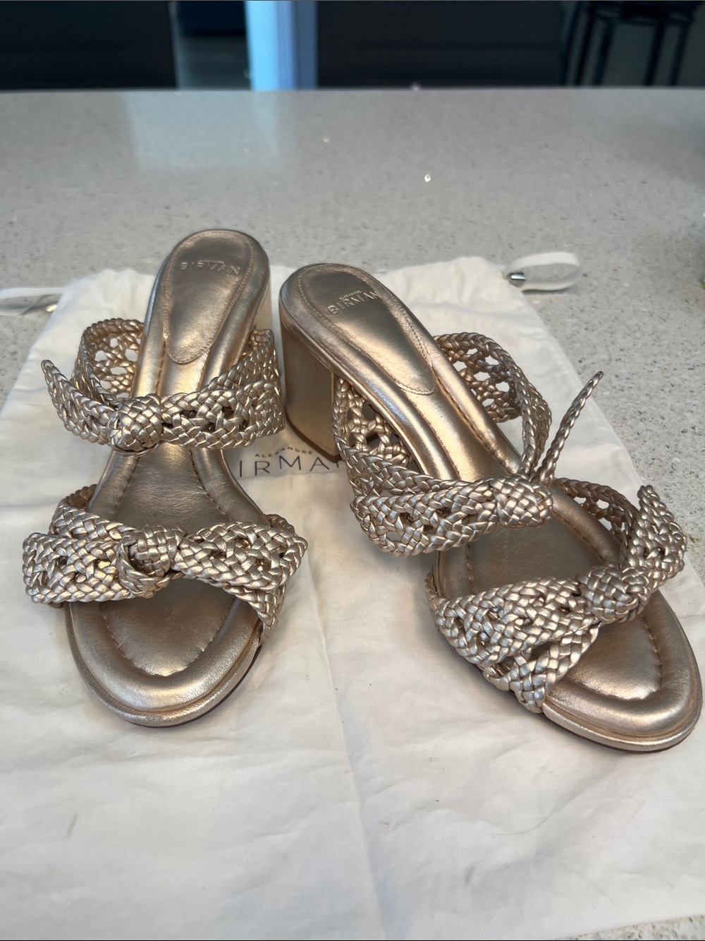 Alexandre Birman Rose Metallic Braided Block Heel Mules